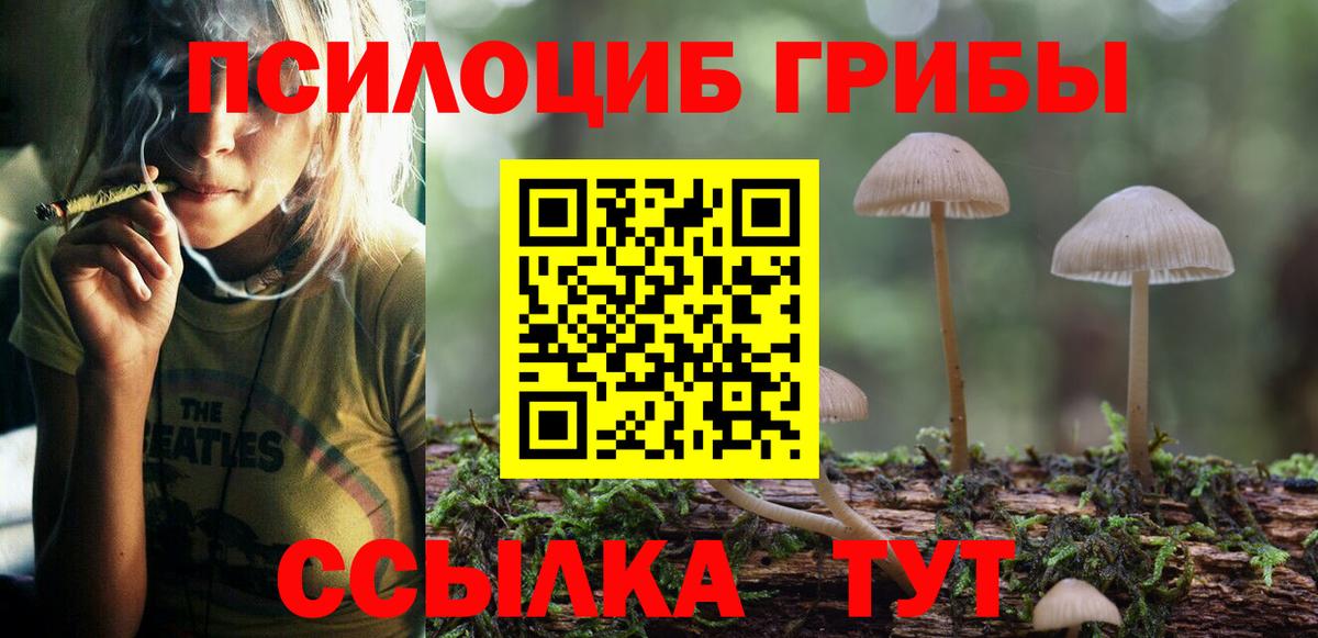 Тайшет  купить  цена  Вход с VPN  Псилоцибиновые грибы ЛСД 